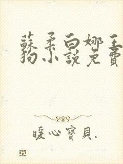 苏柔白娜王大狼狗小说免费阅读笔趣