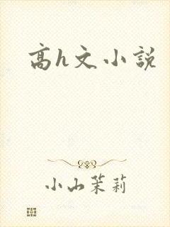 高h文小说封面