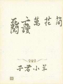 死亡万花简小说阅读封面