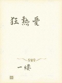 狂热爱封面