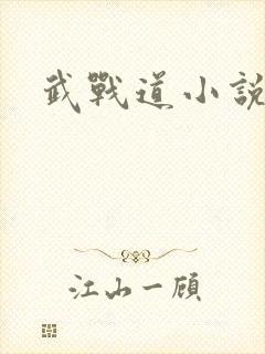 武战道小说