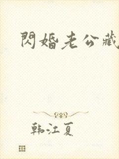 闪婚老公藏不住封面