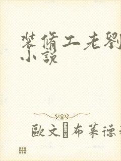 装修工老刘林雪小说封面