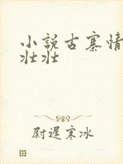 小说古寨情缘安壮壮封面