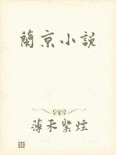 兰京小说封面