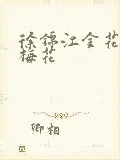 徐锦江金花瓶楷梅花封面