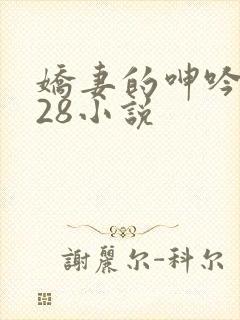 娇妻的呻吟1—28小说
