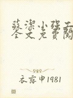 苏洁小强工地情全文免费阅读