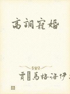 高调宠婚