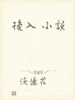 后入 小说