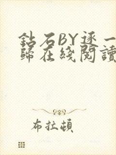 钻石BY逐一而归在线阅读