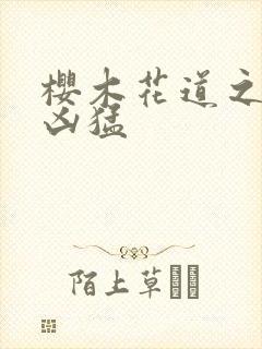 樱木花道之重生凶猛