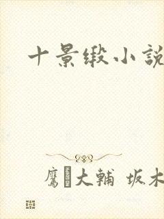 十景缎小说