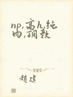 np,高h,纯肉,调教
