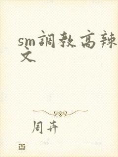 sm调教高辣h文