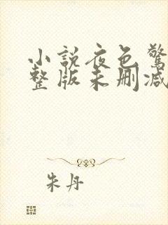 小说夜色惊人完整版未删减小说