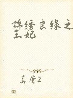 锦绣良缘之北地王妃