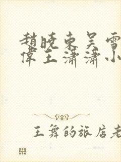 赵晓东吴雪晴郑伟王潇潇小说封面