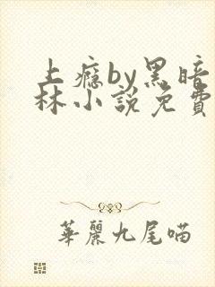 上瘾by黑暗森林小说免费