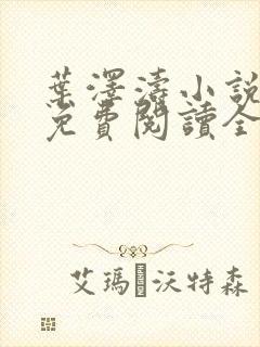 叶泽涛小说全文免费阅读全文