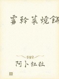 霉干菜烧饼封面