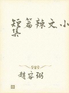 短篇辣文小说合集