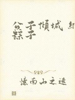 公子倾城 维和粽子