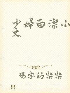 少妇白洁小说全文