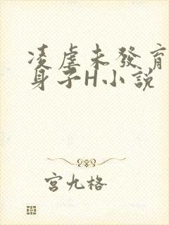 凌虐未发育的小身子H小说