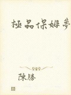 极品保姆梦梦封面