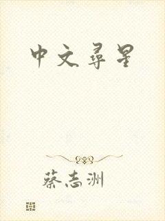中文寻星