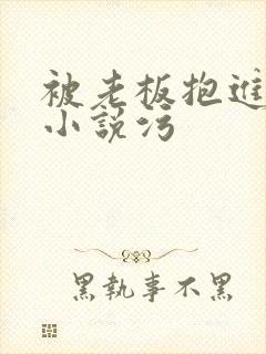 被老板抱进卧室小说污