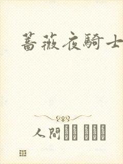 蔷薇夜骑士