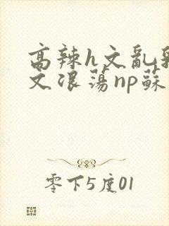 高辣h文乱乳h文浪荡np苏夏