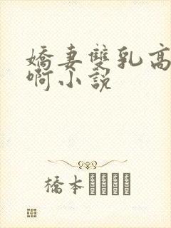 娇妻双乳高耸嗯啊小说