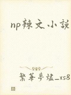 np辣文小说