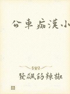 公车痴汉小说