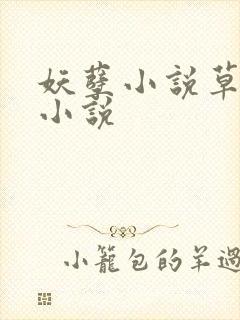 妖孽小说草莓酱小说