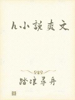 h小说爽文