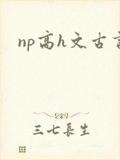 np高h文古言封面
