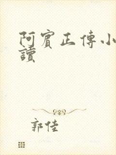 阿宾正传小说在读封面