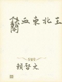 铁血东北王笔趣阁封面