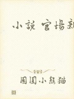 小说 官场新贵