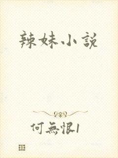 辣妹小说