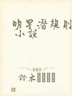 明星潜规则之皇 小说