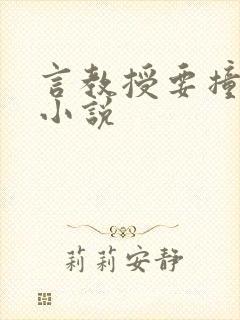 言教授要撞坏了小说