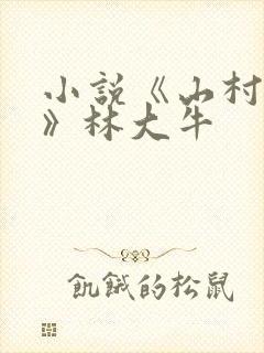 小说《山村情事》林大牛