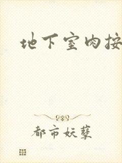 地下室肉按摩椅