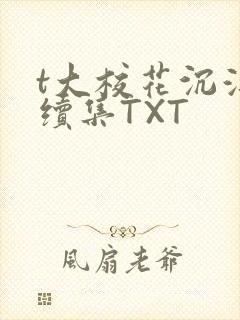 t大校花沉浮录续集TXT