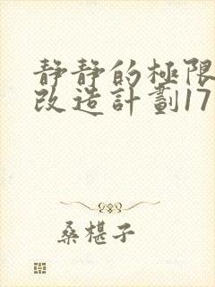 静静的极限自我改造计划17